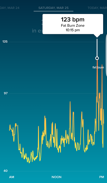 fitbit.png