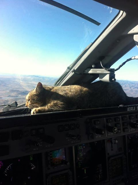 Cat 1 Approach.jpg